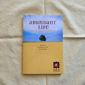 Abundant Life : New Testament by Tyndale House Publishers Staff (2004, Perfect)